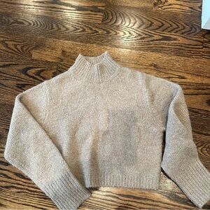 Zara Knit Mockneck Sweater